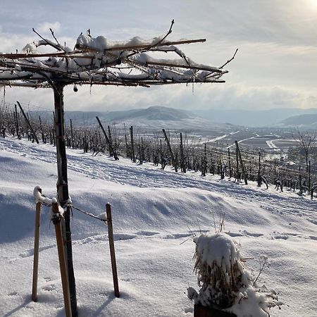 Appartamento Moselhoch Klusserath Esterno foto