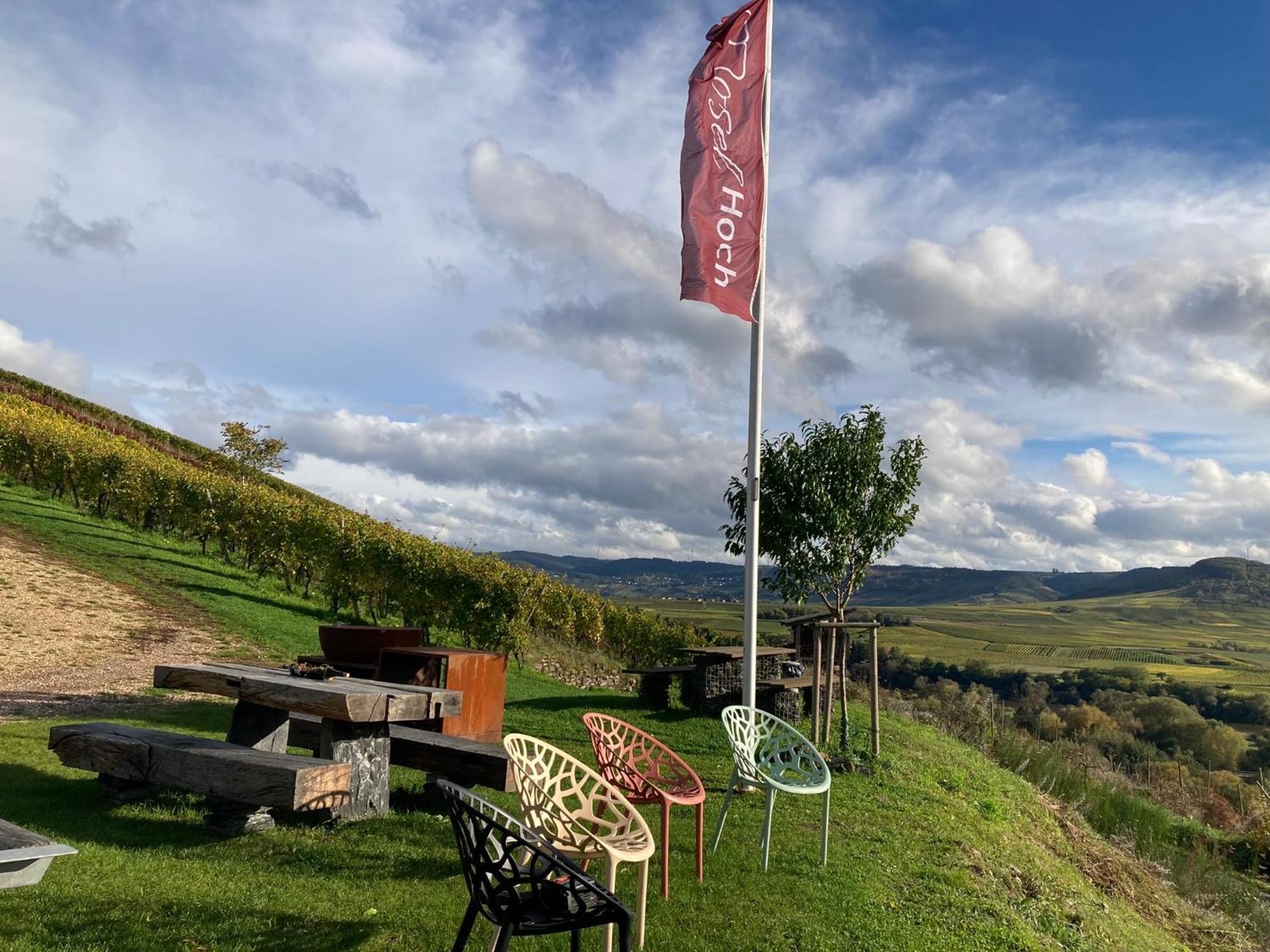 Appartamento Moselhoch Klusserath Esterno foto
