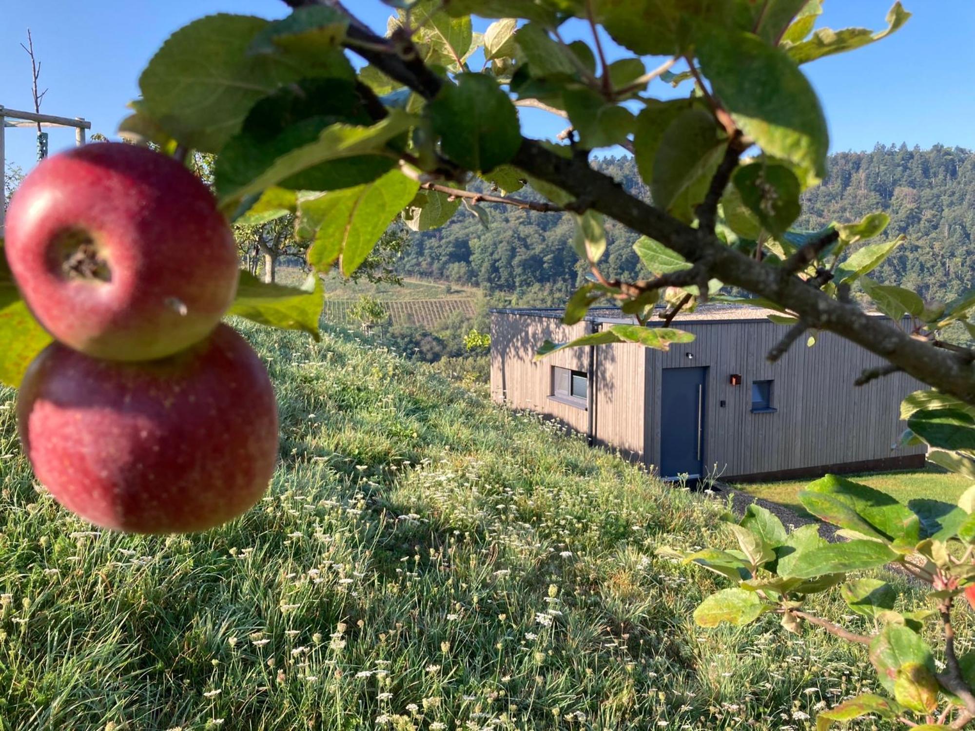 Appartamento Moselhoch Klusserath Esterno foto