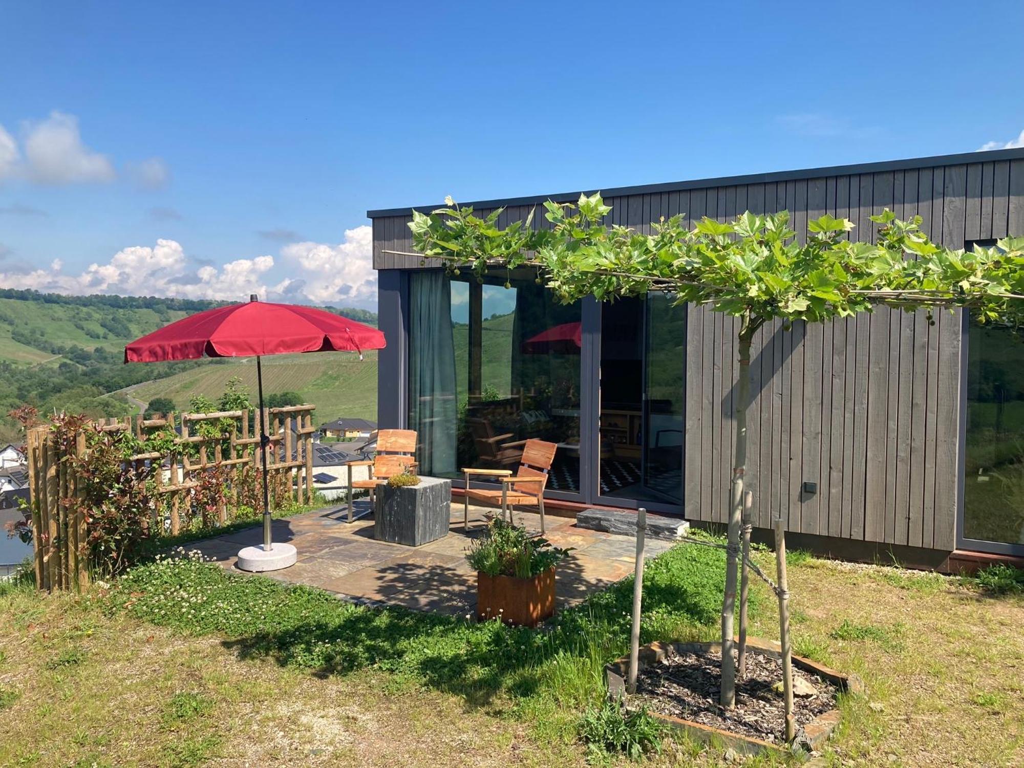 Appartamento Moselhoch Klusserath Esterno foto