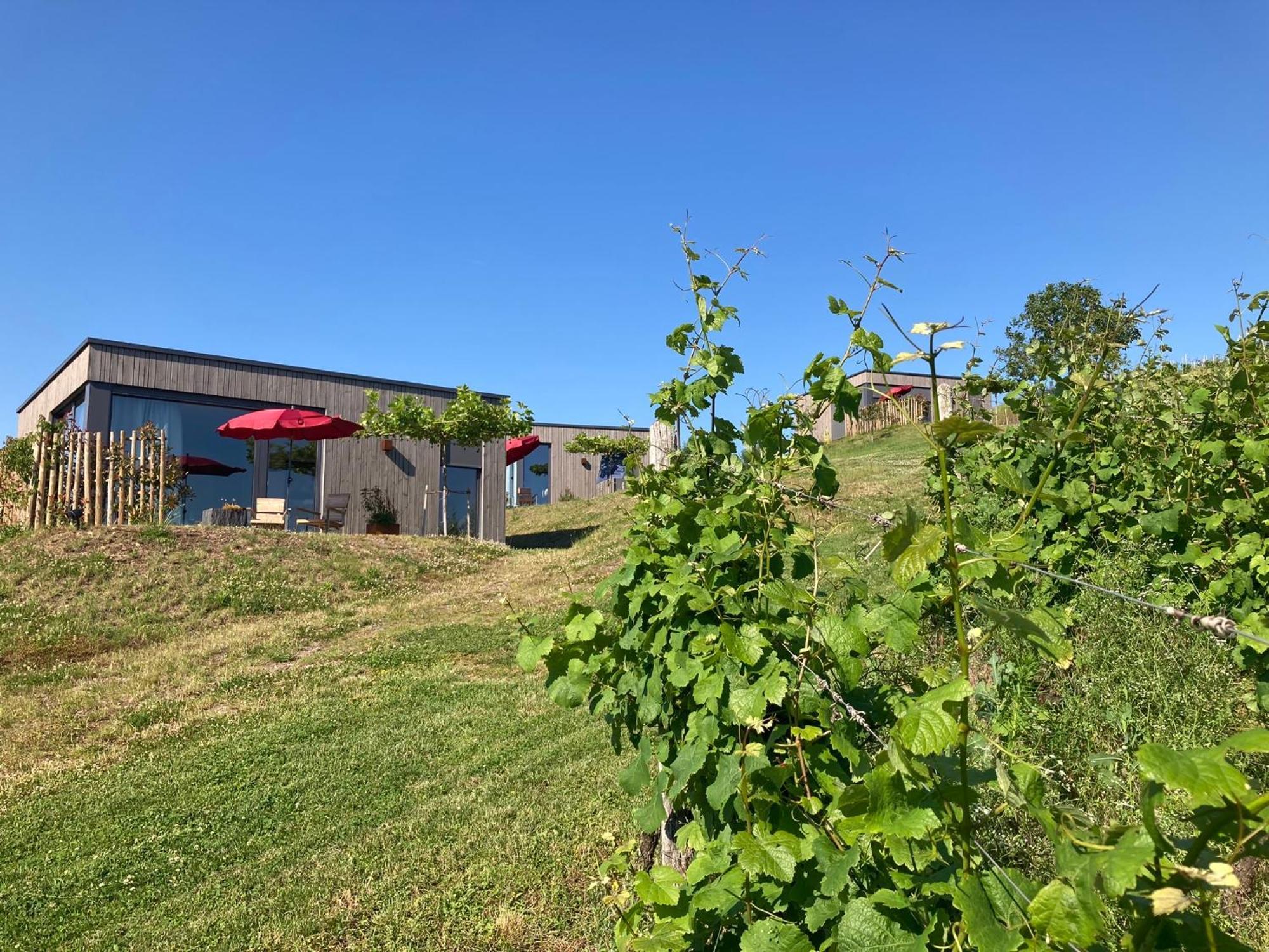 Appartamento Moselhoch Klusserath Esterno foto